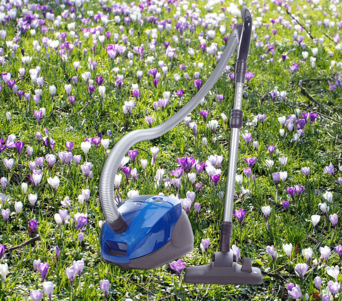 blauer Staubsauger auf Frühlingsblumenwiese